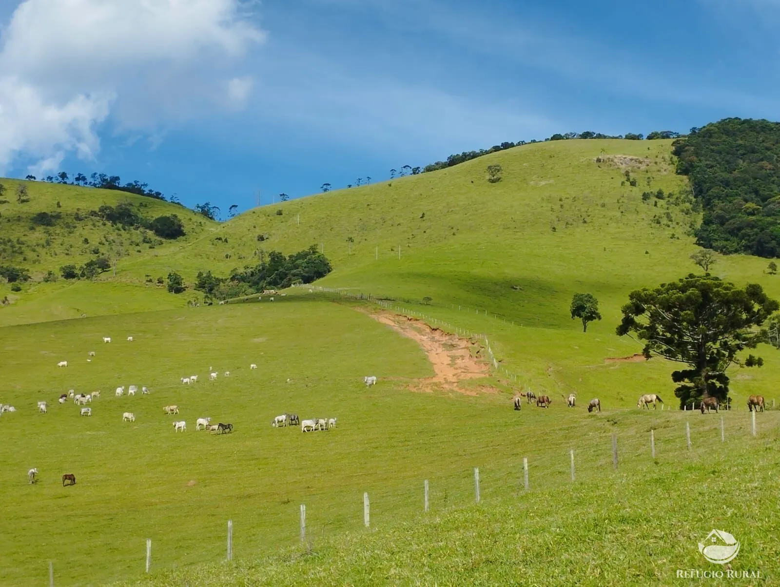 Fazenda à venda de 242 ha em Piracaia, SP, Brasil