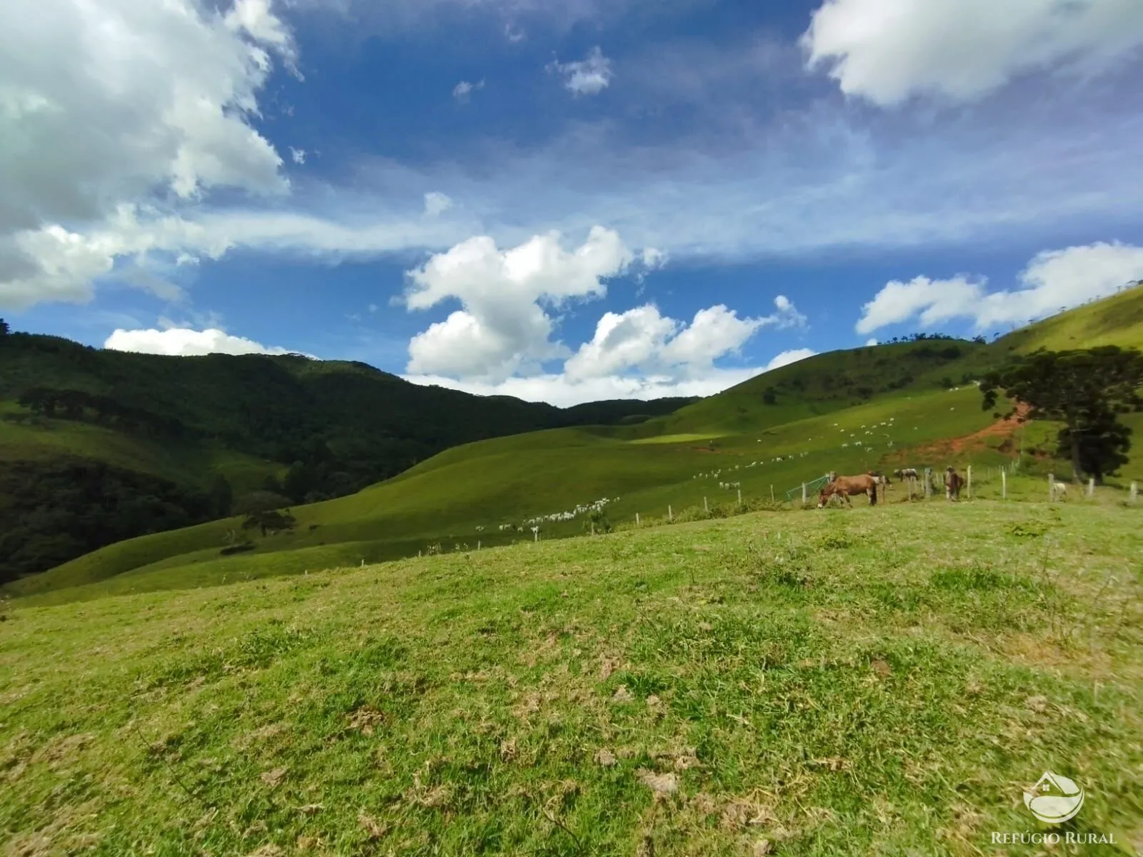 Fazenda à venda de 242 ha em Piracaia, SP, Brasil