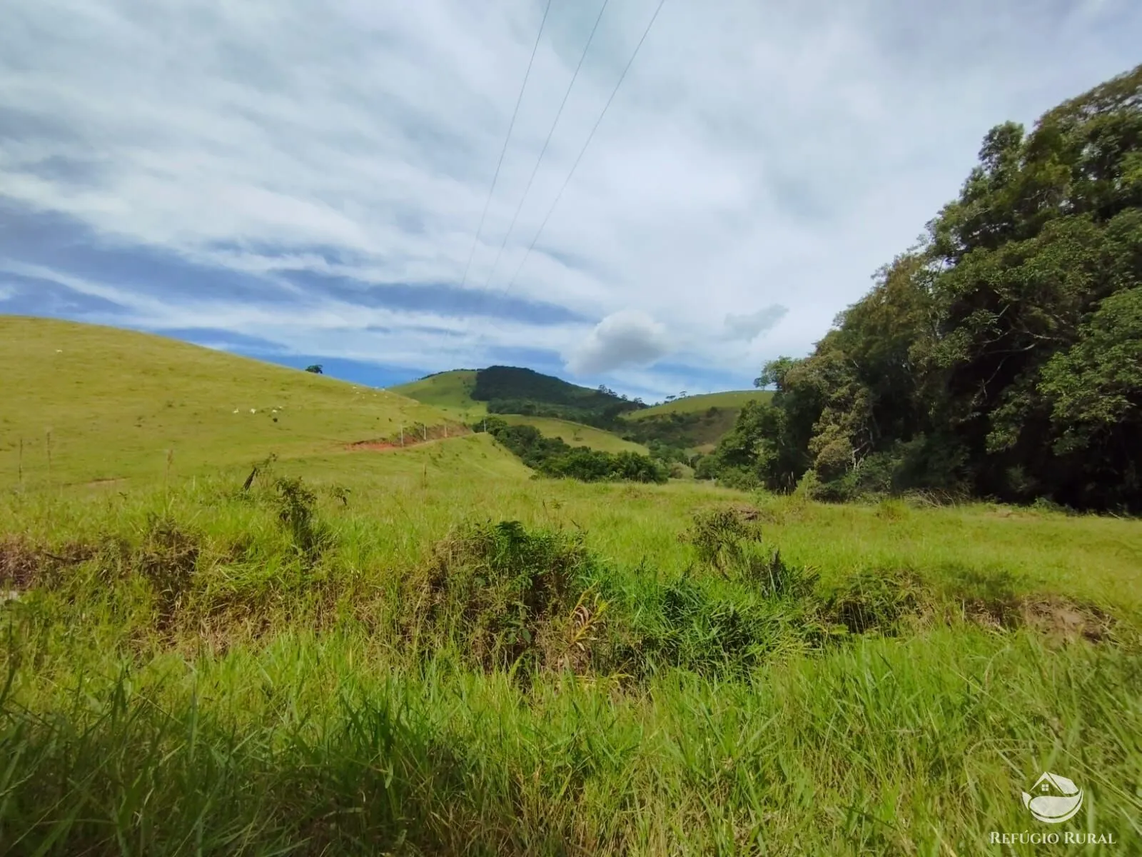 Fazenda à venda de 242 ha em Piracaia, SP, Brasil