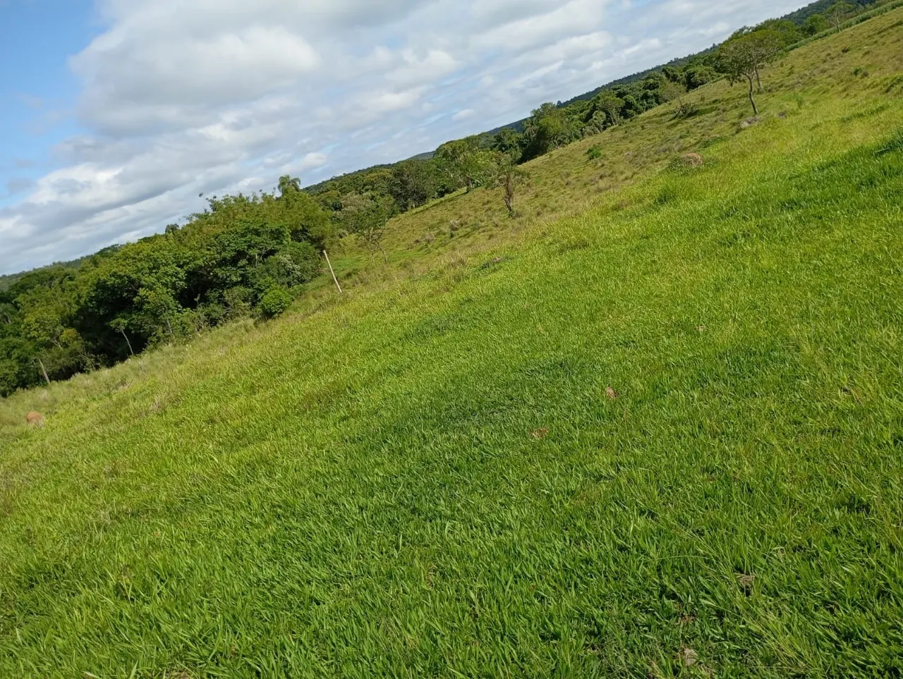 Fazenda à venda de 7 ha em Angatuba, SP, Brasil