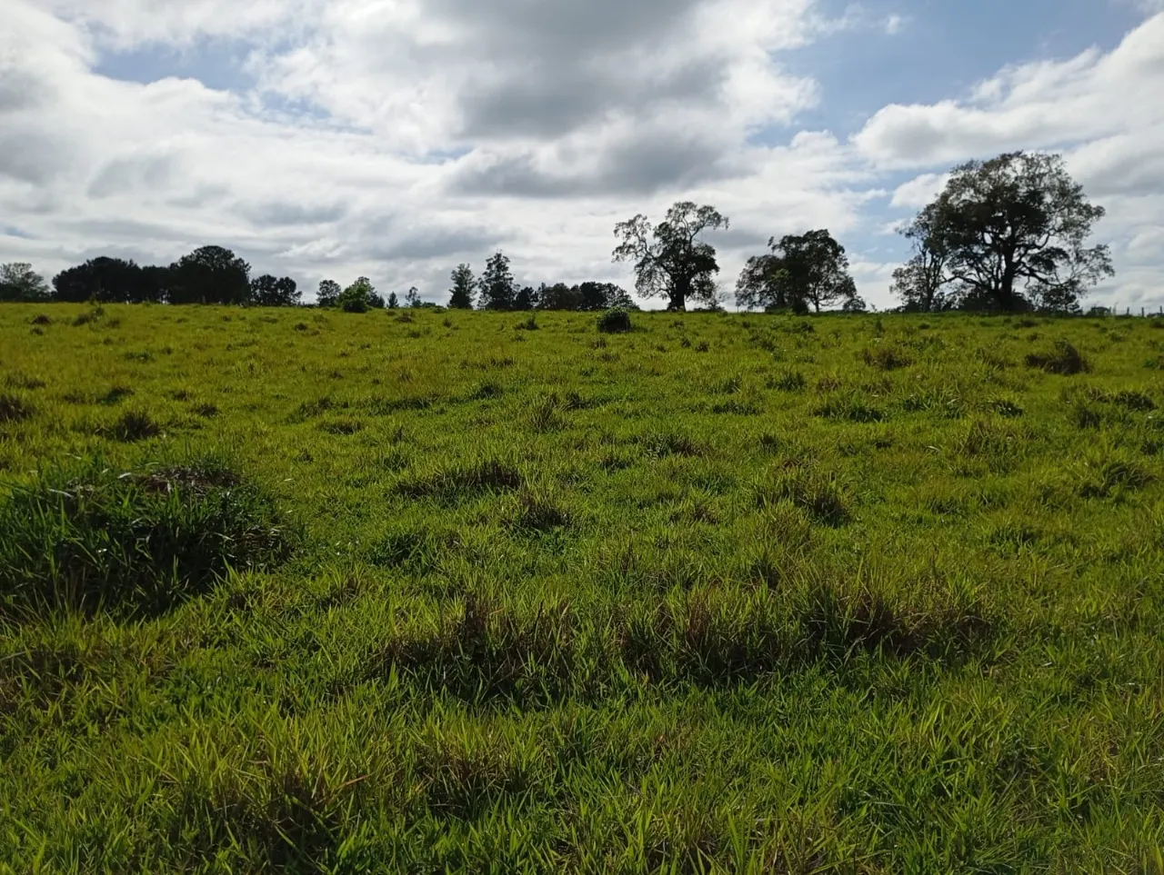 Fazenda à venda de 7 ha em Angatuba, SP, Brasil
