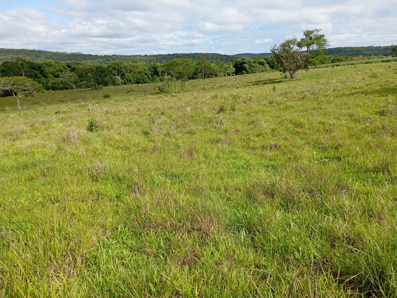 Fazenda à venda de 7 ha em Angatuba, SP, Brasil