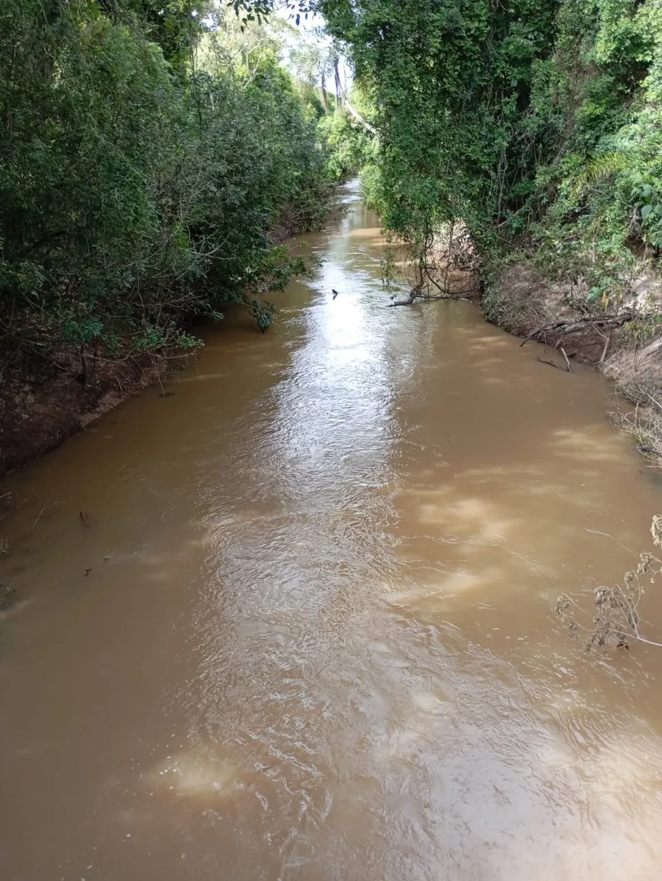 Fazenda à venda de 7 ha em Angatuba, SP, Brasil