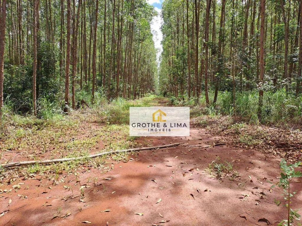 Farm for sale of 35,712 acres in Araguaína, TO, Brazil