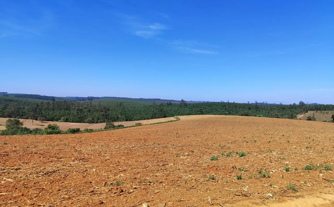 Sítio à venda de 73 ha em Itapetininga, SP, Brasil