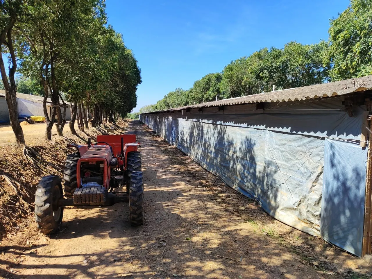Sítio à venda de 73 ha em Itapetininga, SP, Brasil