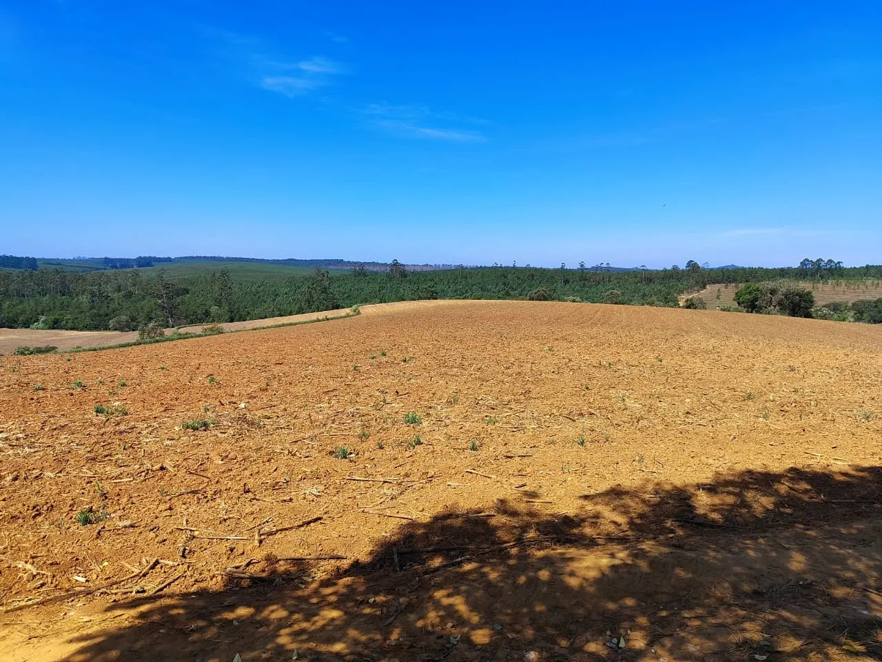 Sítio à venda de 73 ha em Itapetininga, SP, Brasil