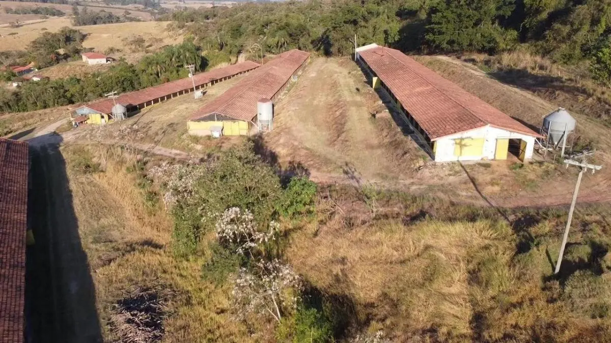 Fazenda à venda de 76 ha em Analândia, SP, Brasil