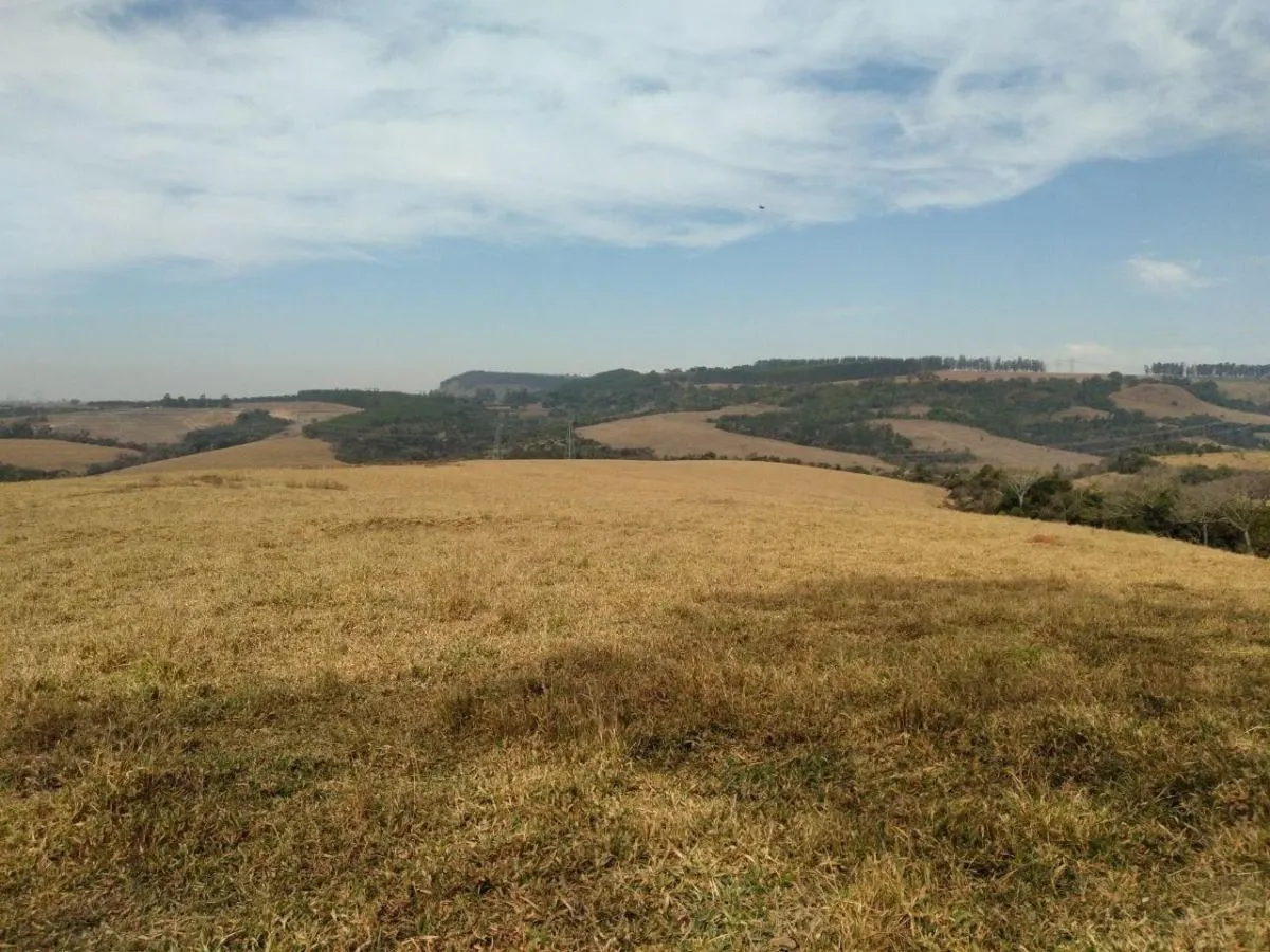 Fazenda à venda de 76 ha em Analândia, SP, Brasil