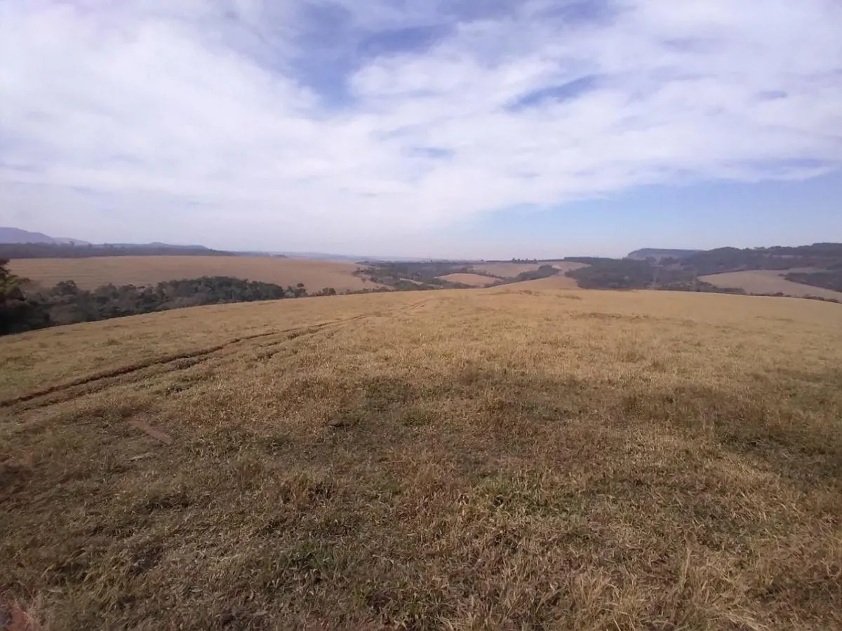 Fazenda à venda de 76 ha em Analândia, SP, Brasil