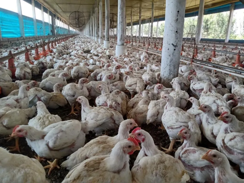 Sítio à venda de 10 ha em Iperó, SP, Brasil