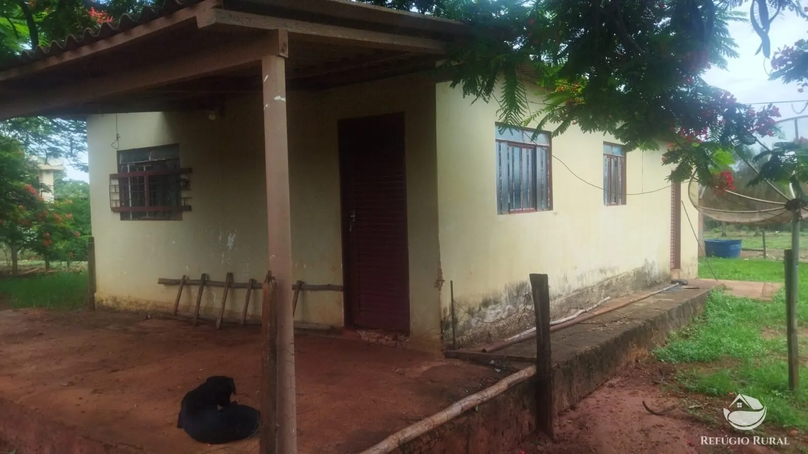 Small farm for sale and to rent of 72 acres in Frutal, MG, Brazil