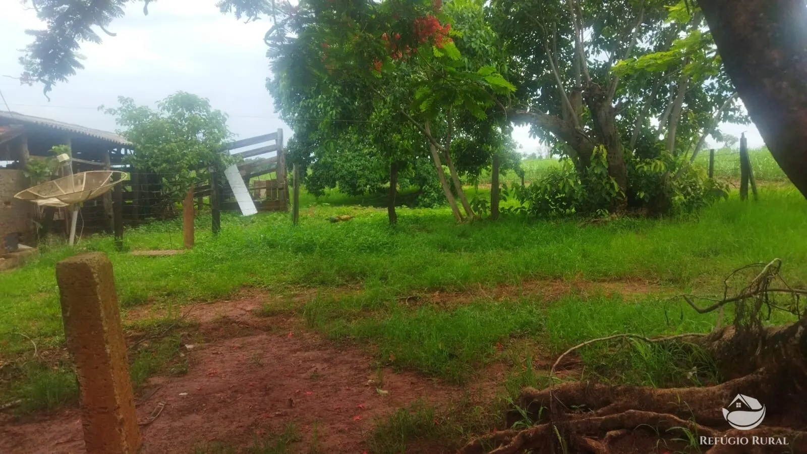 Small farm for sale and to rent of 72 acres in Frutal, MG, Brazil