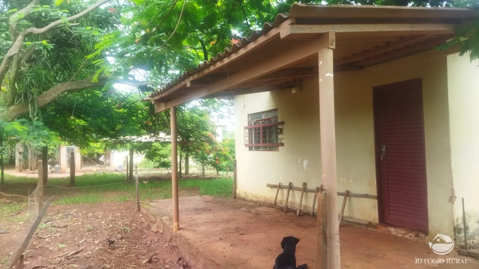 Small farm for sale and to rent of 72 acres in Frutal, MG, Brazil