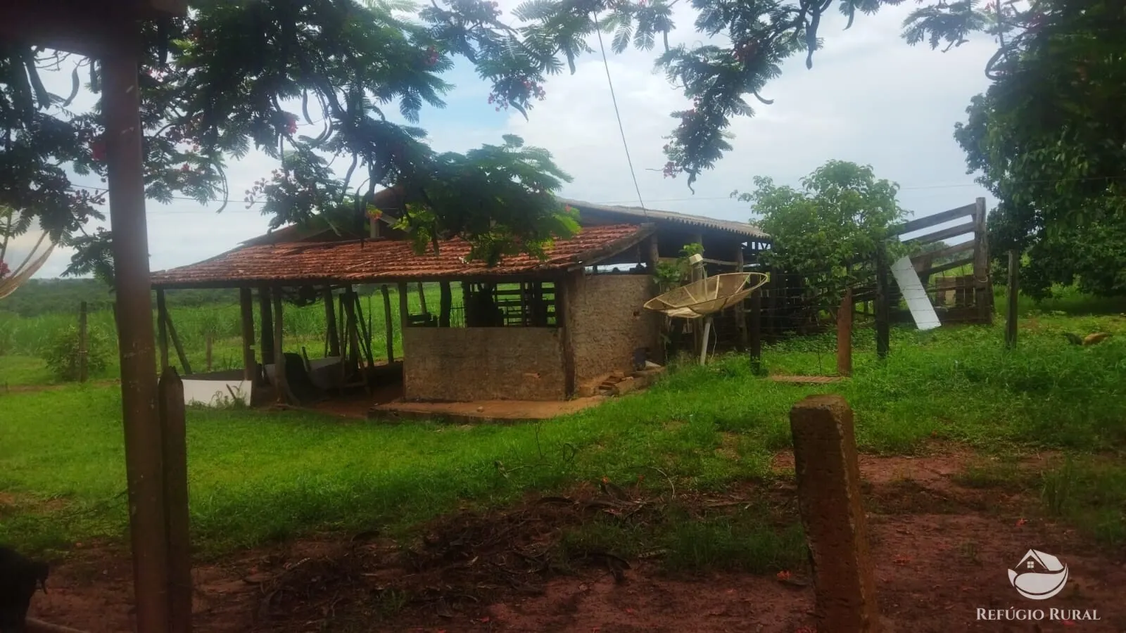 Small farm for sale and to rent of 72 acres in Frutal, MG, Brazil