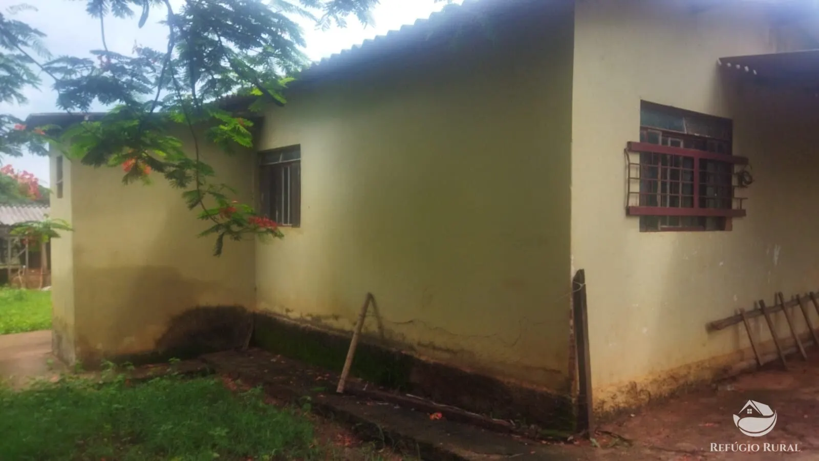 Small farm for sale and to rent of 72 acres in Frutal, MG, Brazil