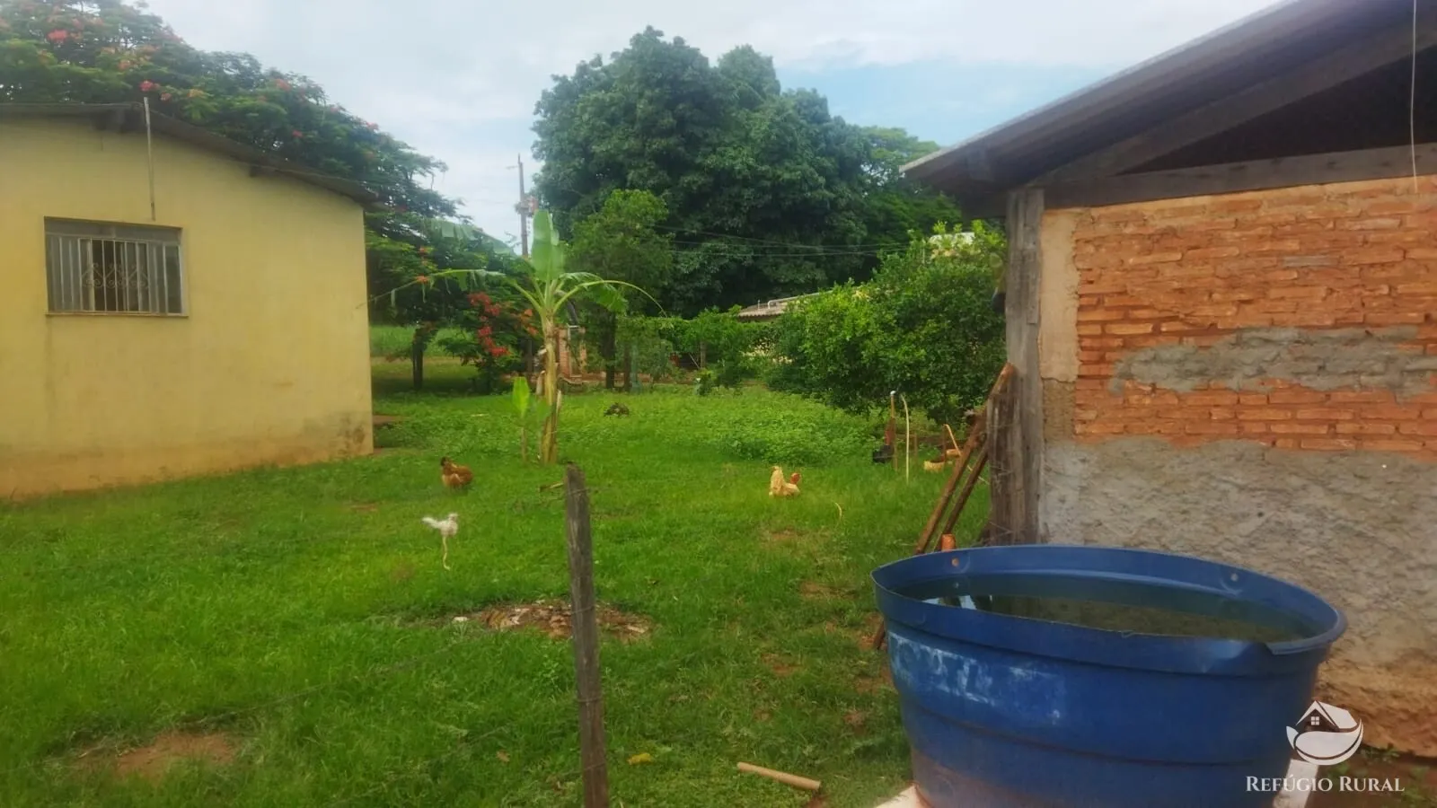 Small farm for sale and to rent of 72 acres in Frutal, MG, Brazil