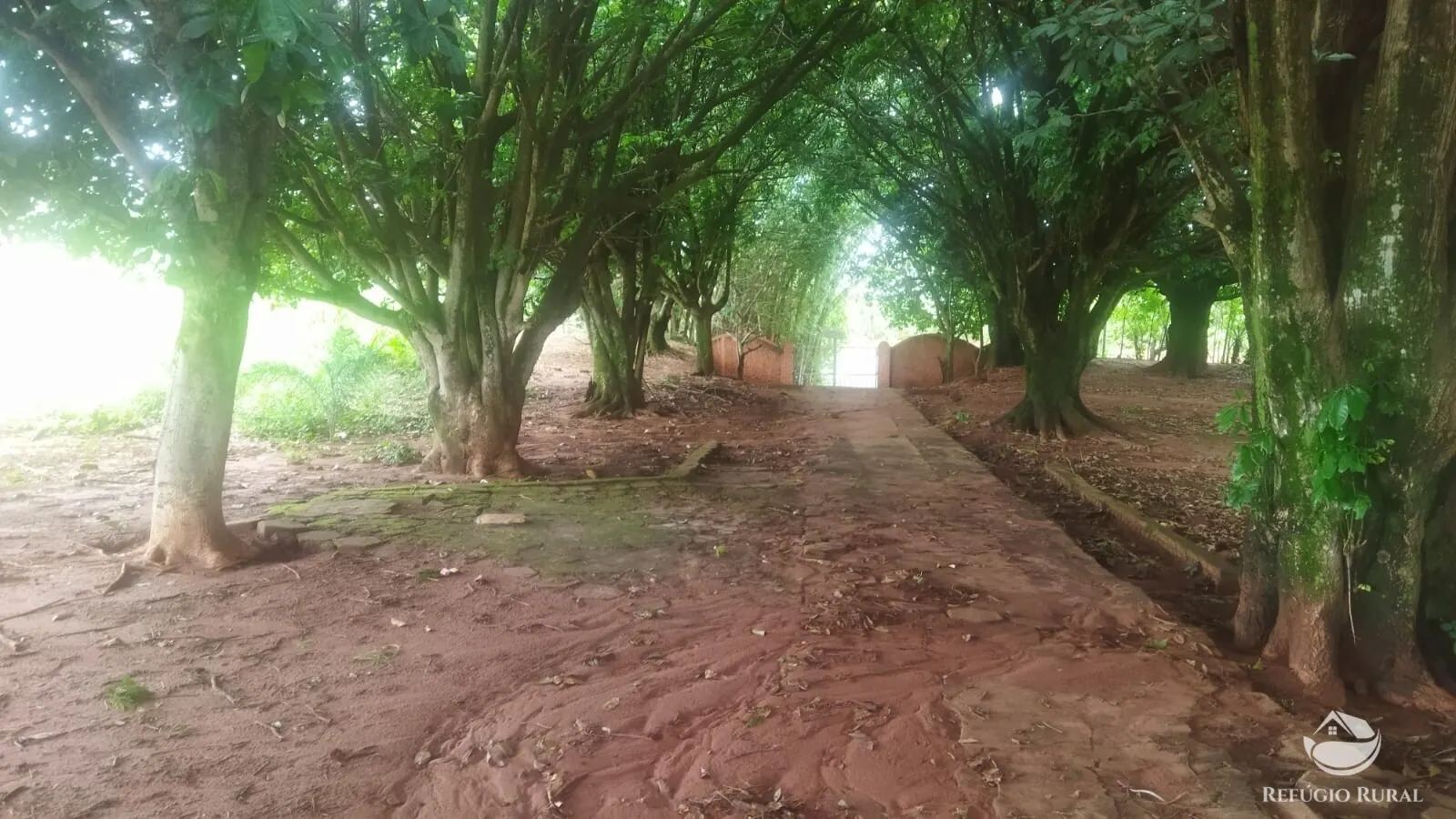 Small farm for sale and to rent of 72 acres in Frutal, MG, Brazil