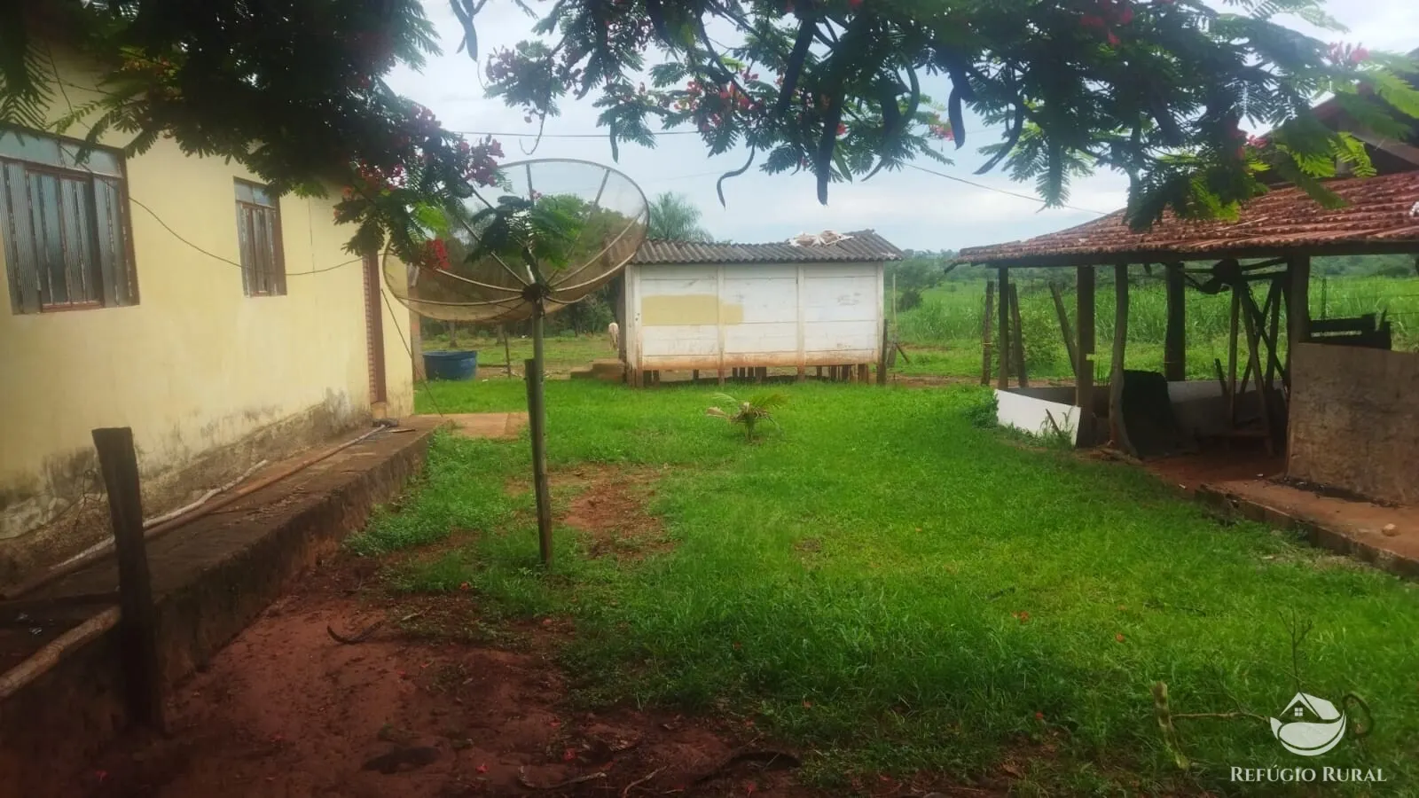 Small farm for sale and to rent of 72 acres in Frutal, MG, Brazil