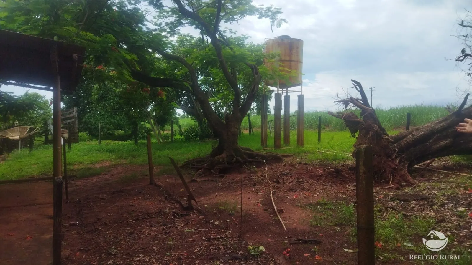 Small farm for sale and to rent of 72 acres in Frutal, MG, Brazil