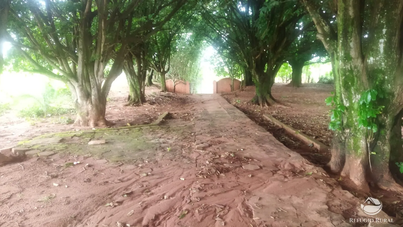Small farm for sale and to rent of 72 acres in Frutal, MG, Brazil