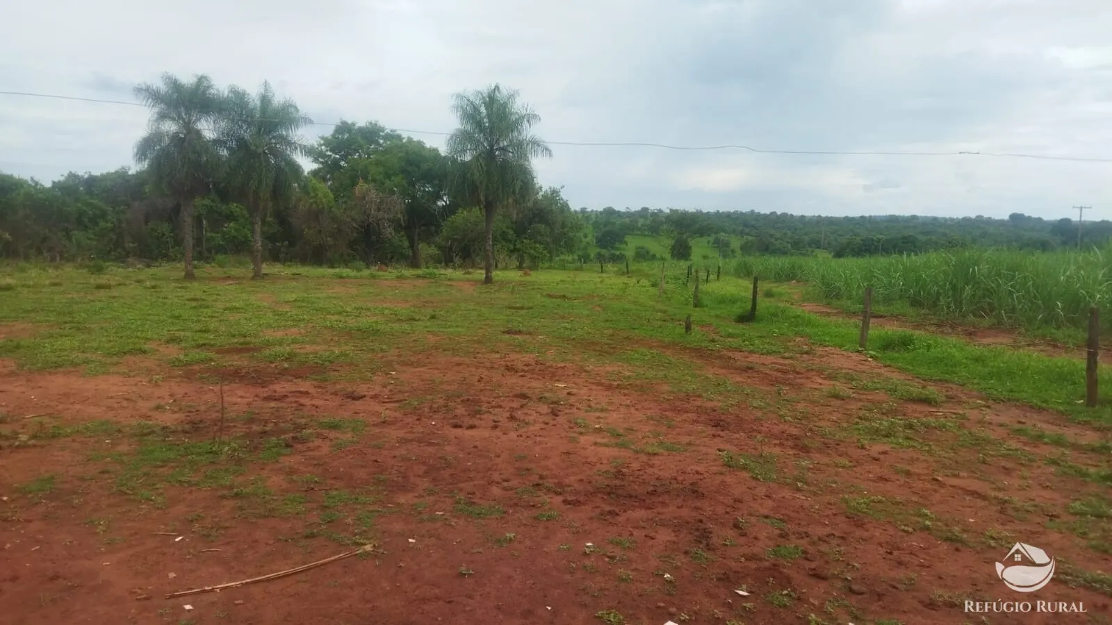 Small farm for sale and to rent of 72 acres in Frutal, MG, Brazil