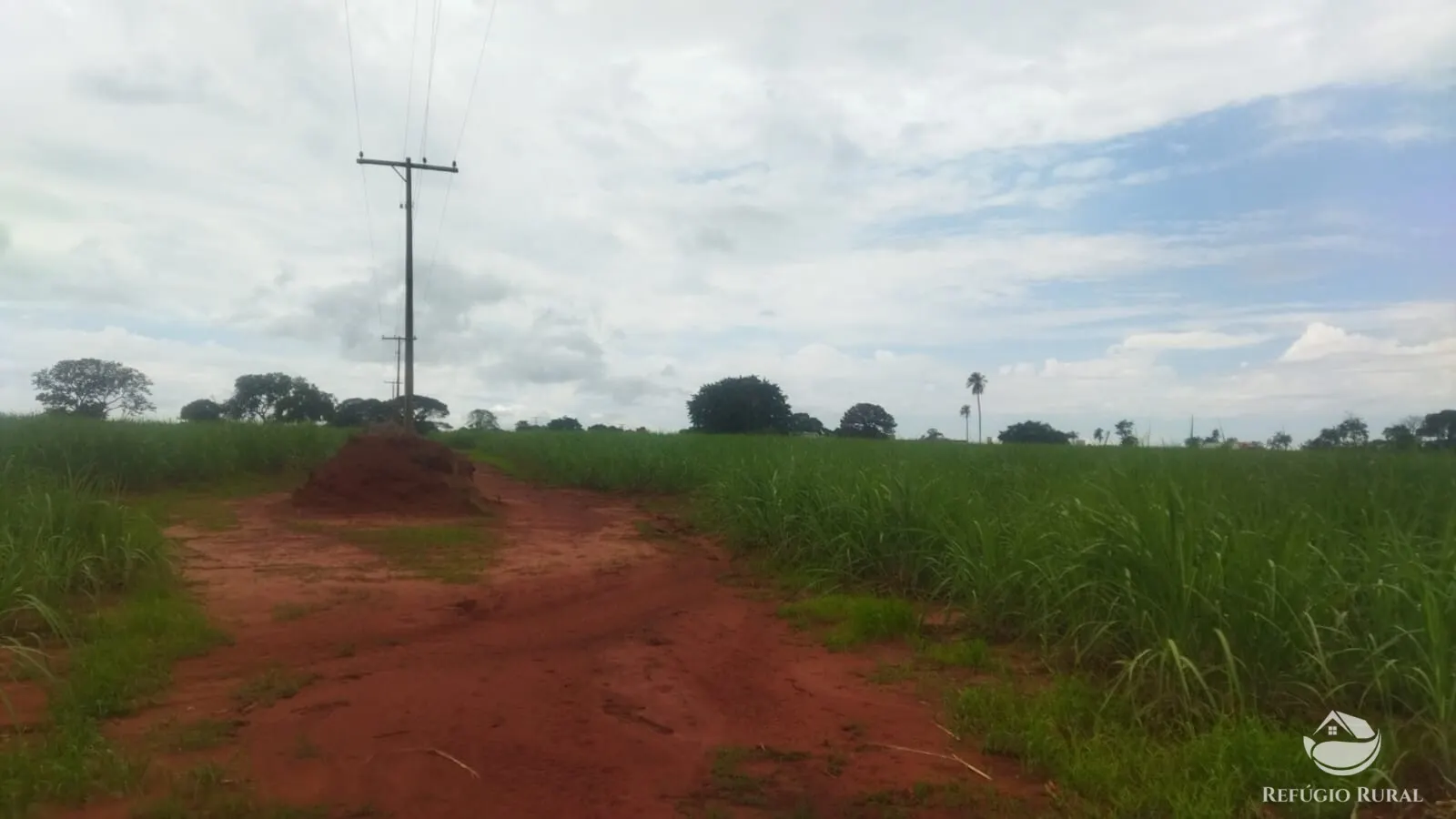 Small farm for sale and to rent of 72 acres in Frutal, MG, Brazil