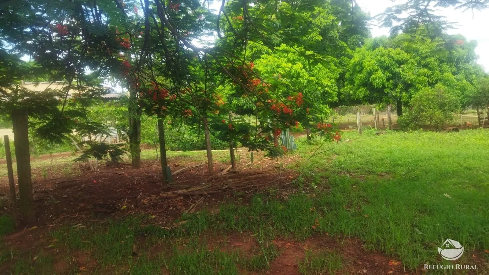Small farm for sale and to rent of 72 acres in Frutal, MG, Brazil