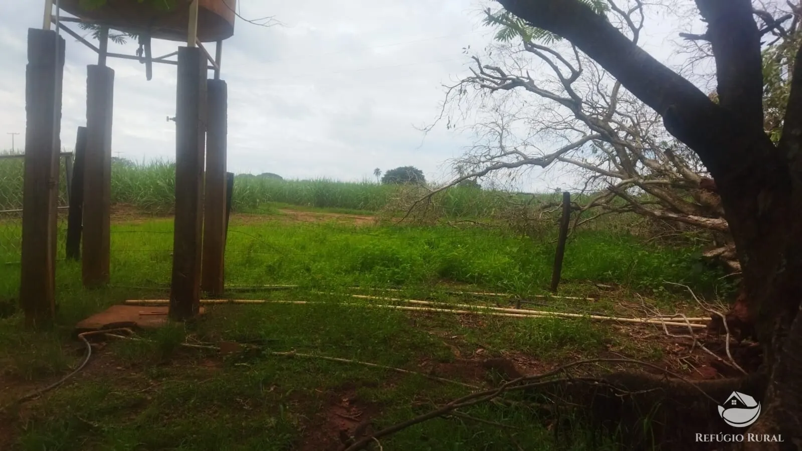Small farm for sale and to rent of 72 acres in Frutal, MG, Brazil