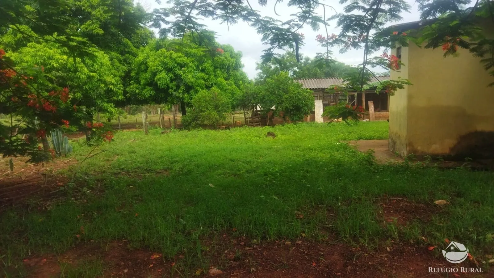 Small farm for sale and to rent of 72 acres in Frutal, MG, Brazil