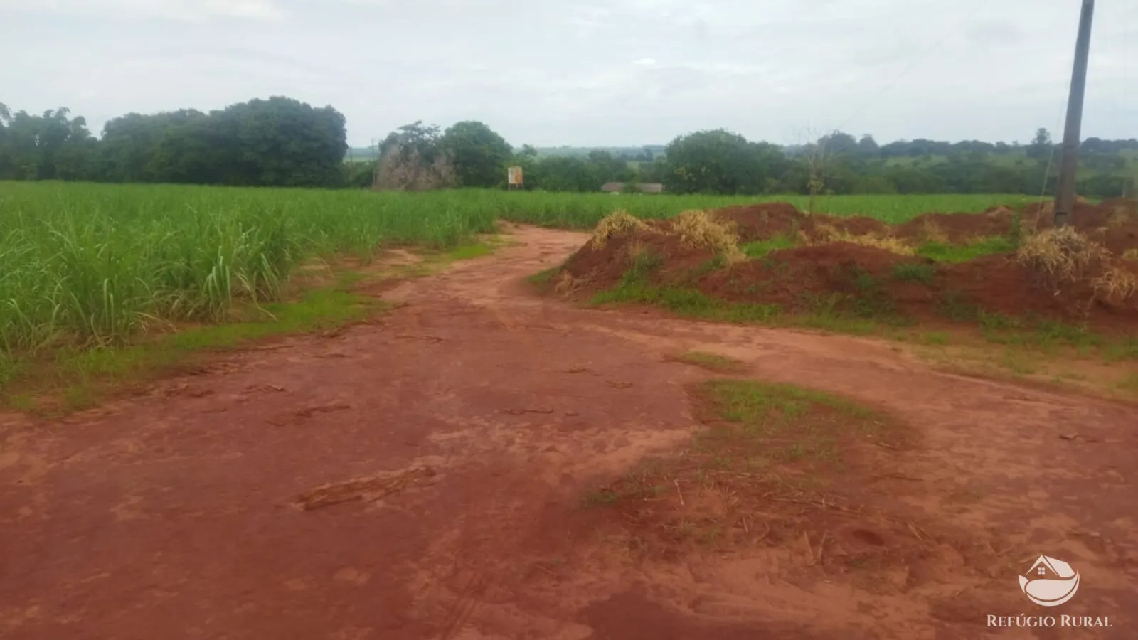 Small farm for sale and to rent of 72 acres in Frutal, MG, Brazil
