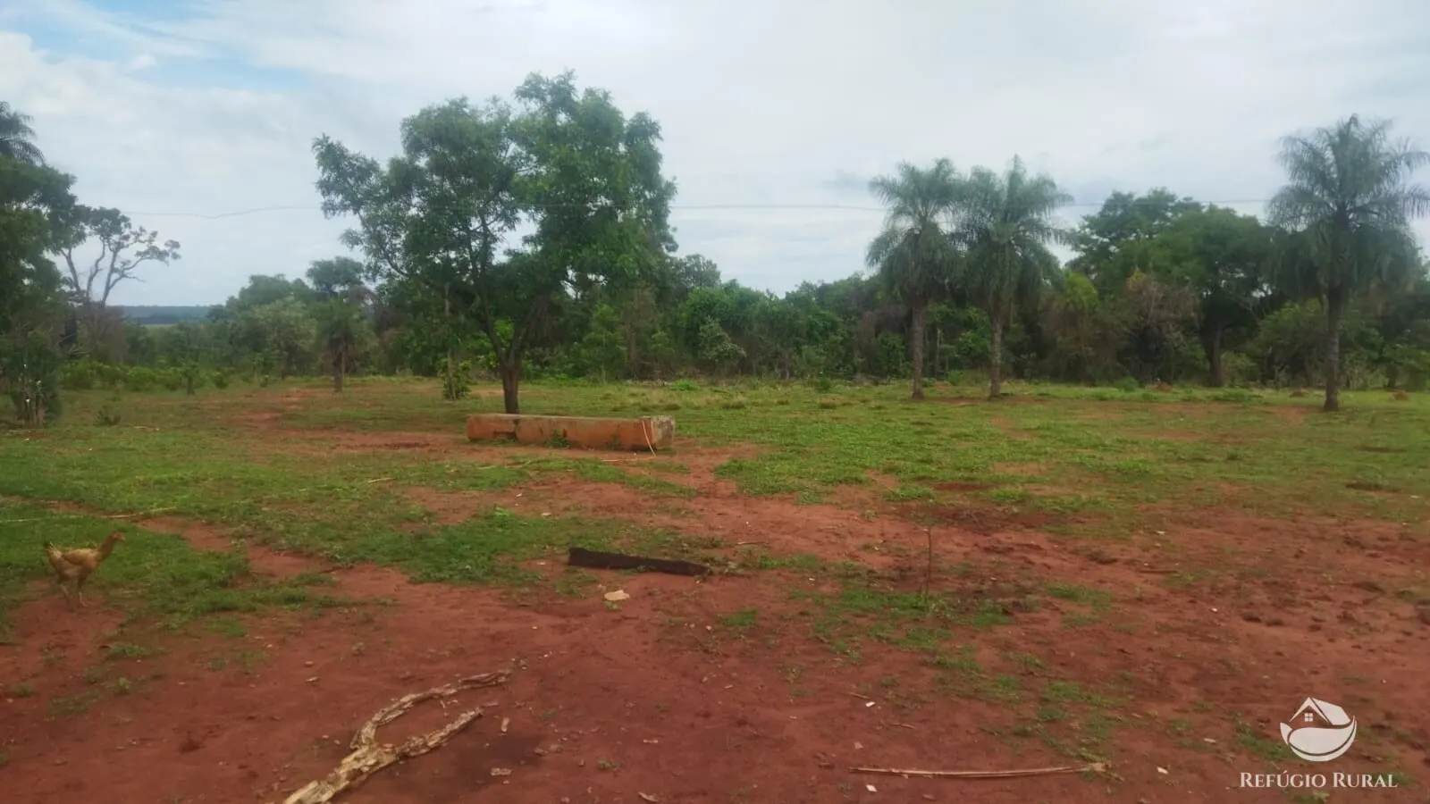 Small farm for sale and to rent of 72 acres in Frutal, MG, Brazil