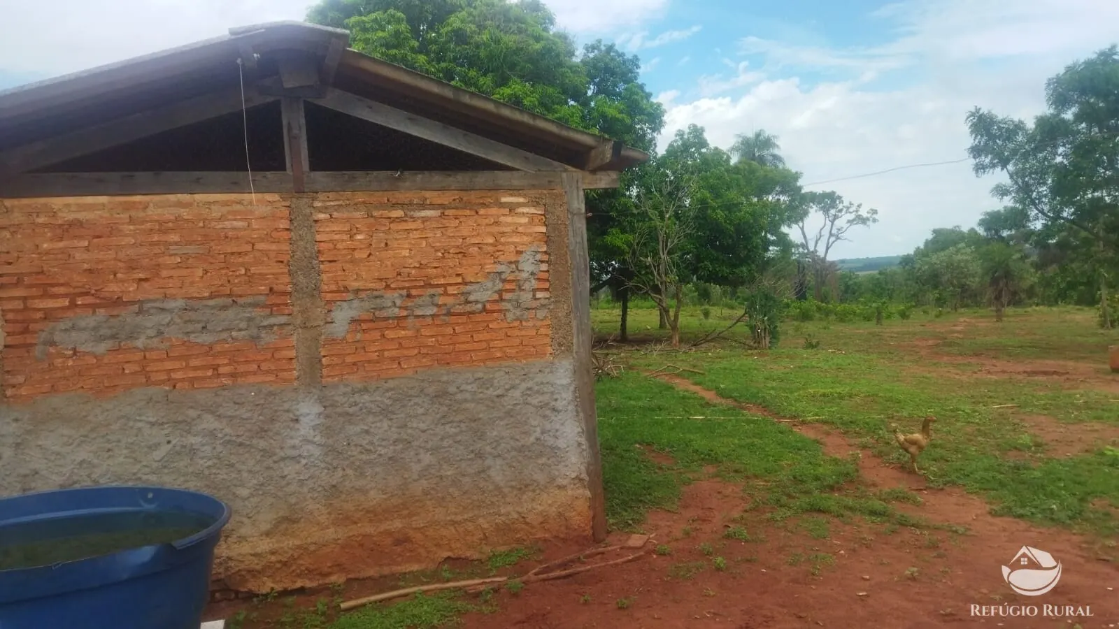 Small farm for sale and to rent of 72 acres in Frutal, MG, Brazil