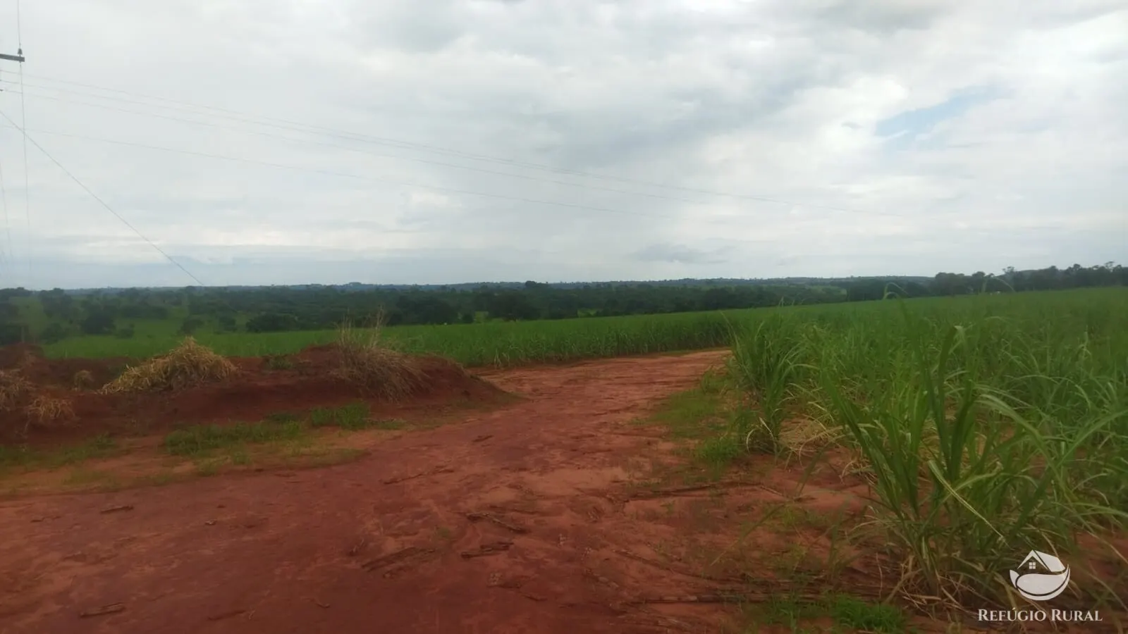 Small farm for sale and to rent of 72 acres in Frutal, MG, Brazil