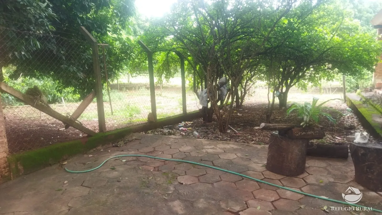 Small farm for sale and to rent of 72 acres in Frutal, MG, Brazil