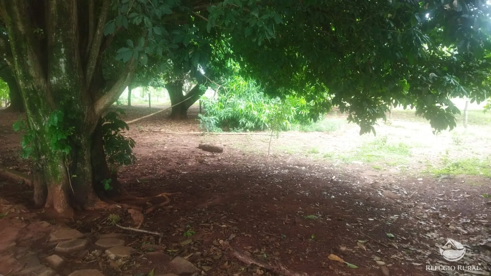 Small farm for sale and to rent of 72 acres in Frutal, MG, Brazil