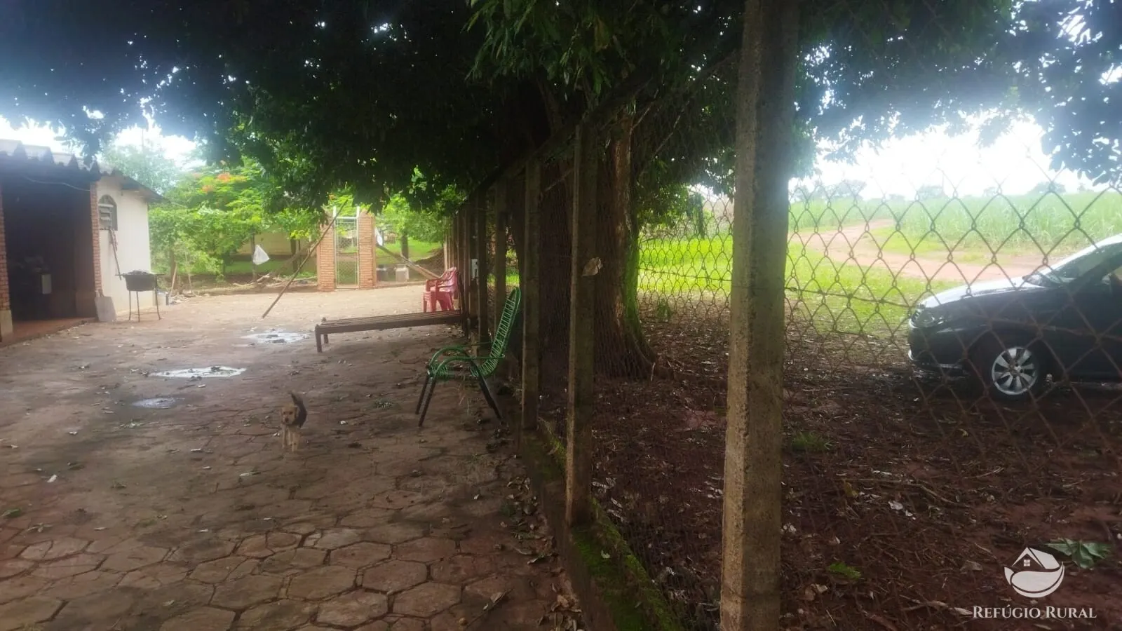 Small farm for sale and to rent of 72 acres in Frutal, MG, Brazil