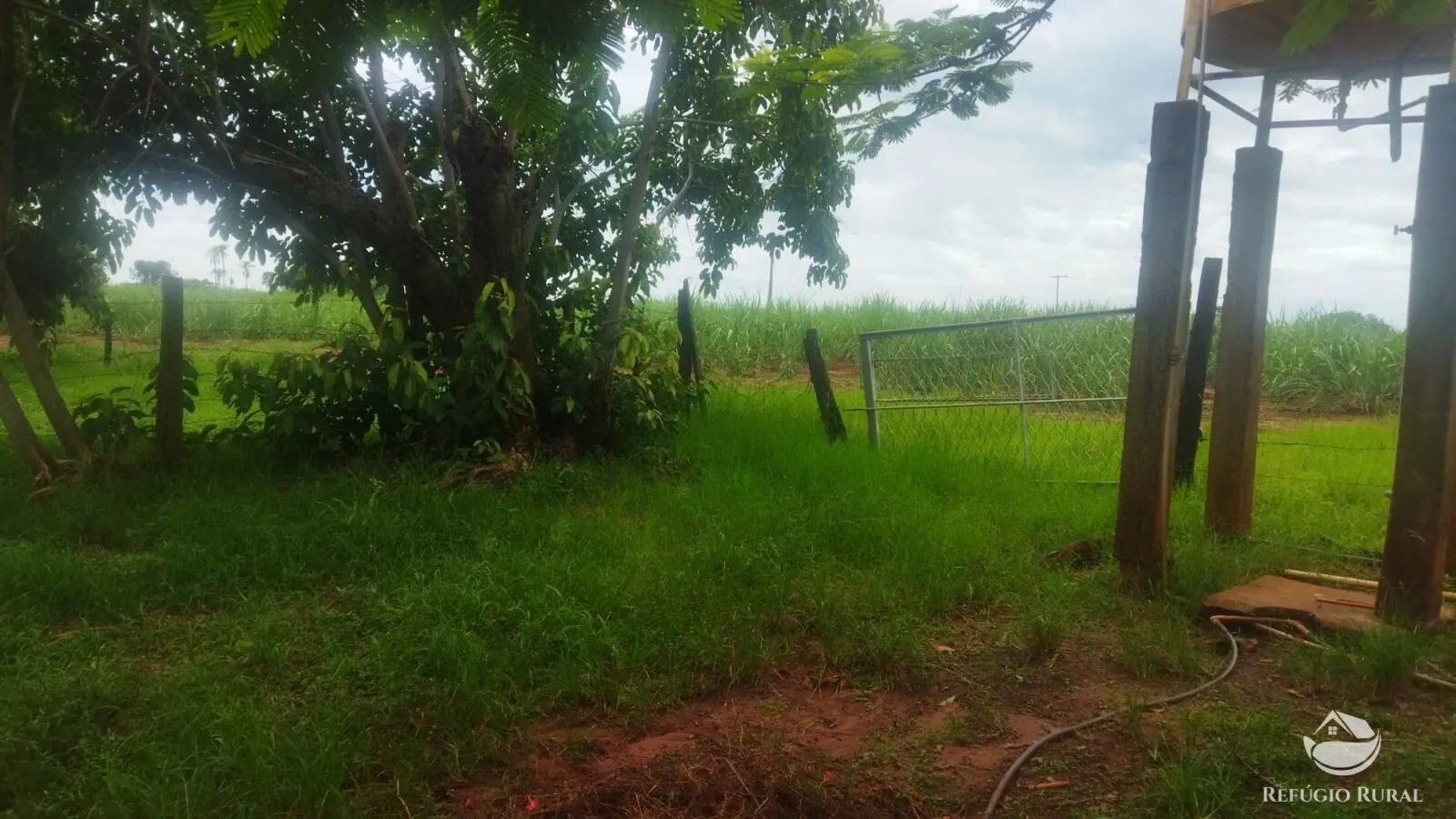 Small farm for sale and to rent of 72 acres in Frutal, MG, Brazil