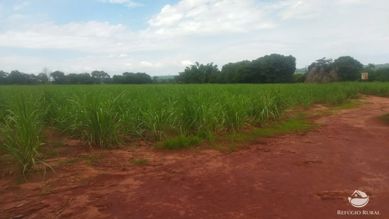 Small farm for sale and to rent of 72 acres in Frutal, MG, Brazil