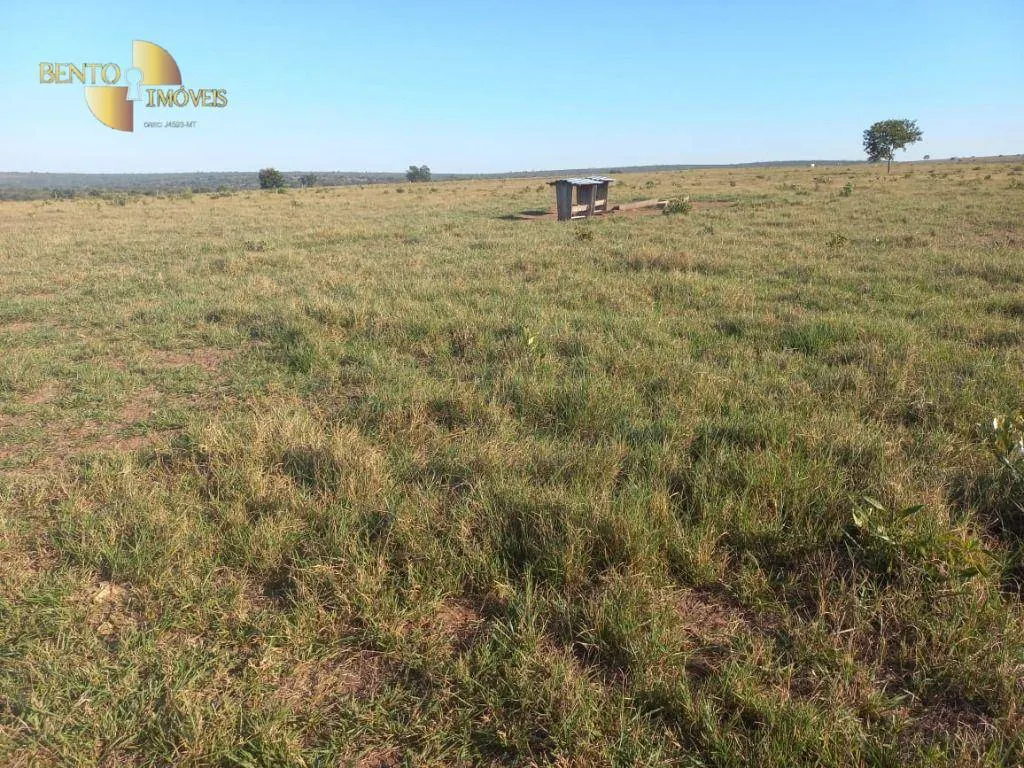 Fazenda à venda de 337 ha em Juscimeira, MT, Brasil