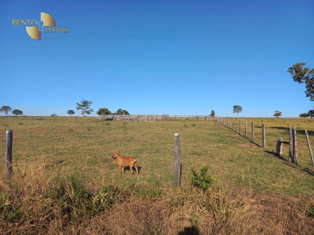 Fazenda à venda de 337 ha em Juscimeira, MT, Brasil