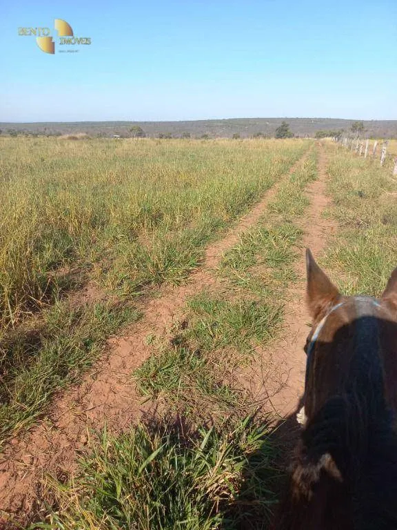 Fazenda à venda de 337 ha em Juscimeira, MT, Brasil