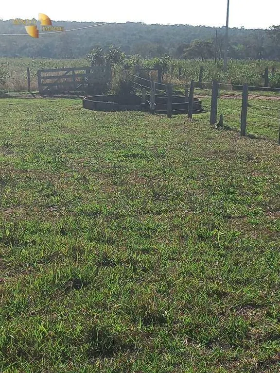 Fazenda à venda de 337 ha em Juscimeira, MT, Brasil
