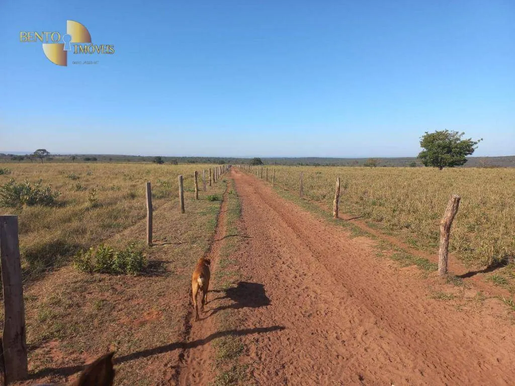Fazenda à venda de 337 ha em Juscimeira, MT, Brasil
