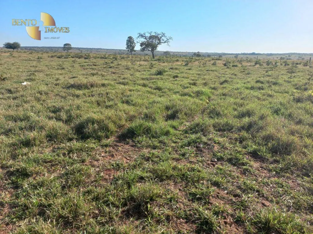 Fazenda à venda de 337 ha em Juscimeira, MT, Brasil
