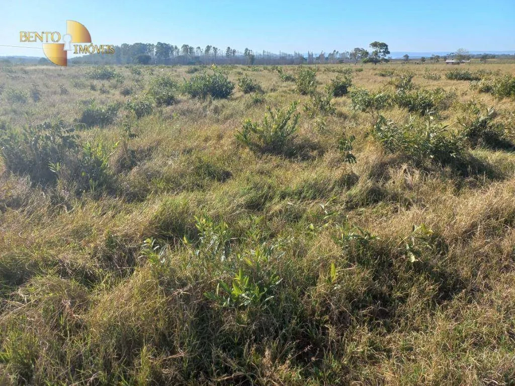 Fazenda à venda de 337 ha em Juscimeira, MT, Brasil