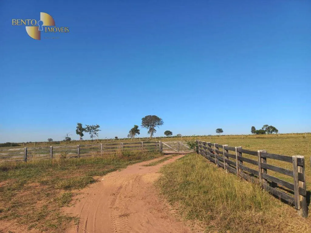 Fazenda à venda de 337 ha em Juscimeira, MT, Brasil