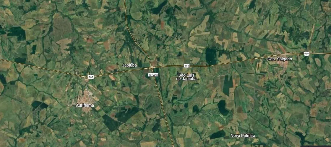 Fazenda à venda de 64 ha em Auriflama, SP, Brasil