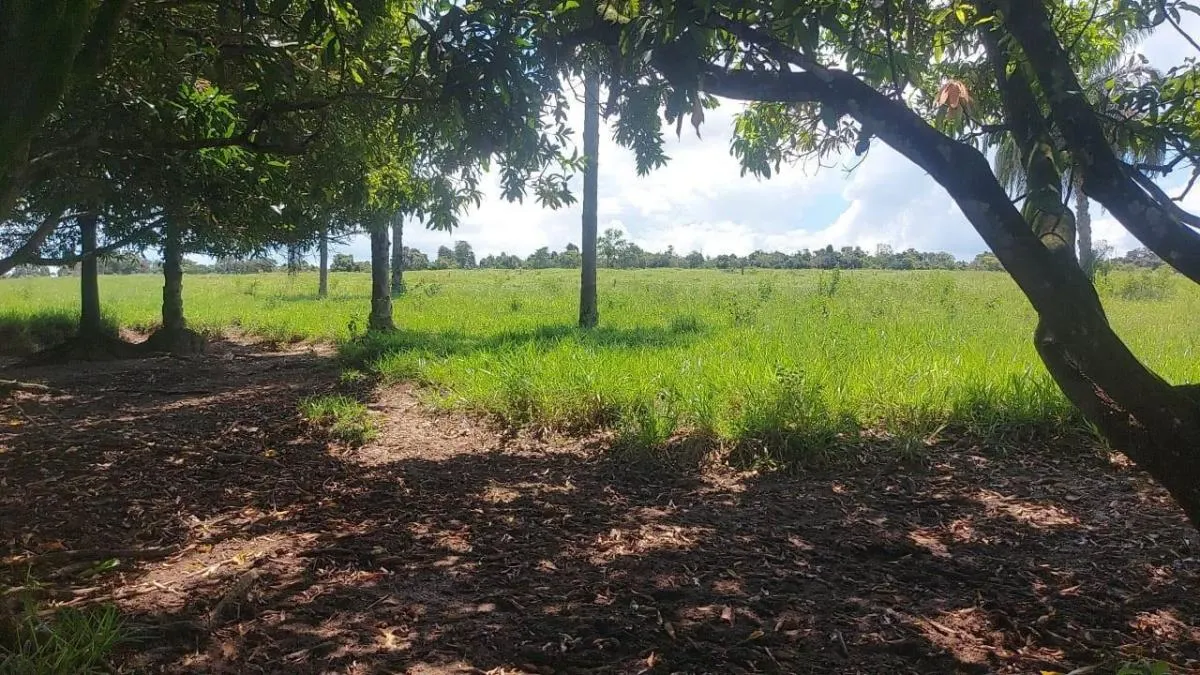 Sítio à venda de 8 ha em Santa Rita do Passa Quatro, SP, Brasil