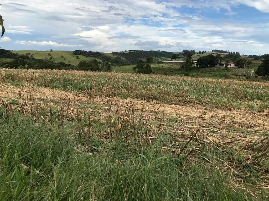 Farm for sale of 287 acres in São Miguel Arcanjo, SP, Brazil